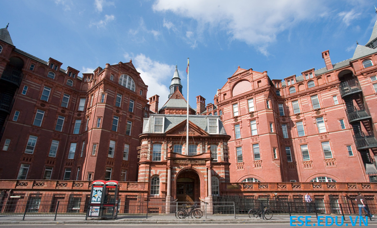 UNIVERSITY COLLEGE LONDON