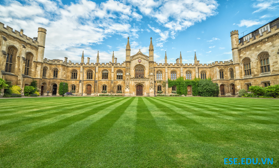 UNIVERSITY OF CAMBRIDGE